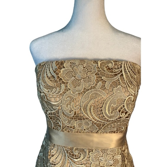 Adrianna Pappel Strapless Lace Knee Length Dress in Color Champagne Size 8P - Picture 5 of 9